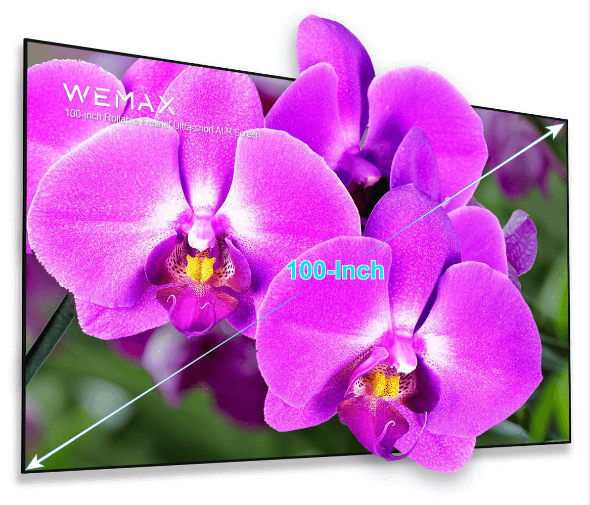 WEMAX 100 inch ALR Projector Screens