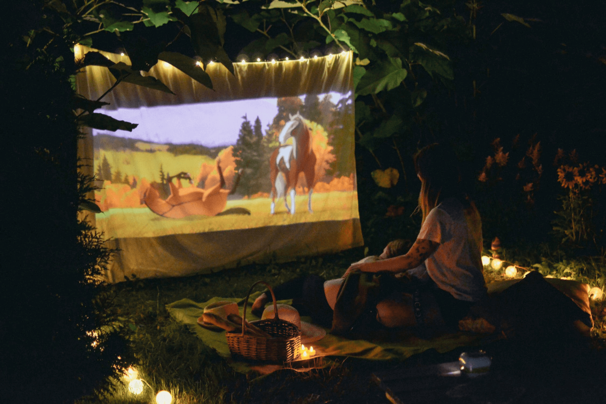 cloth projector screen