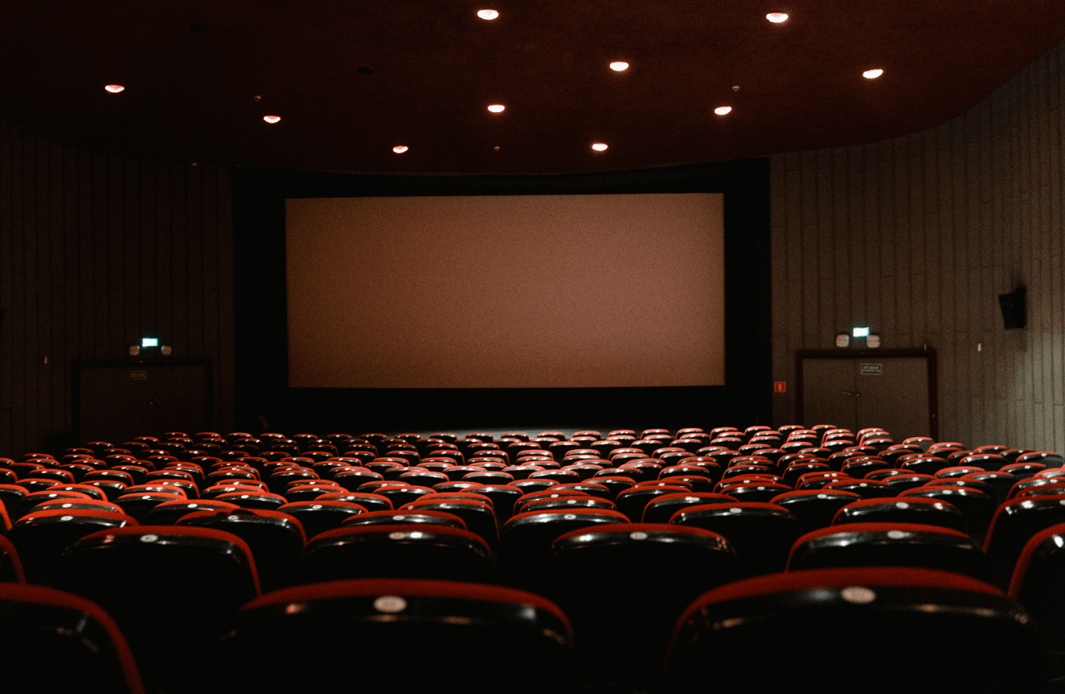 Everything You Need to Know About Rear Projector Screens – WEMAX Official