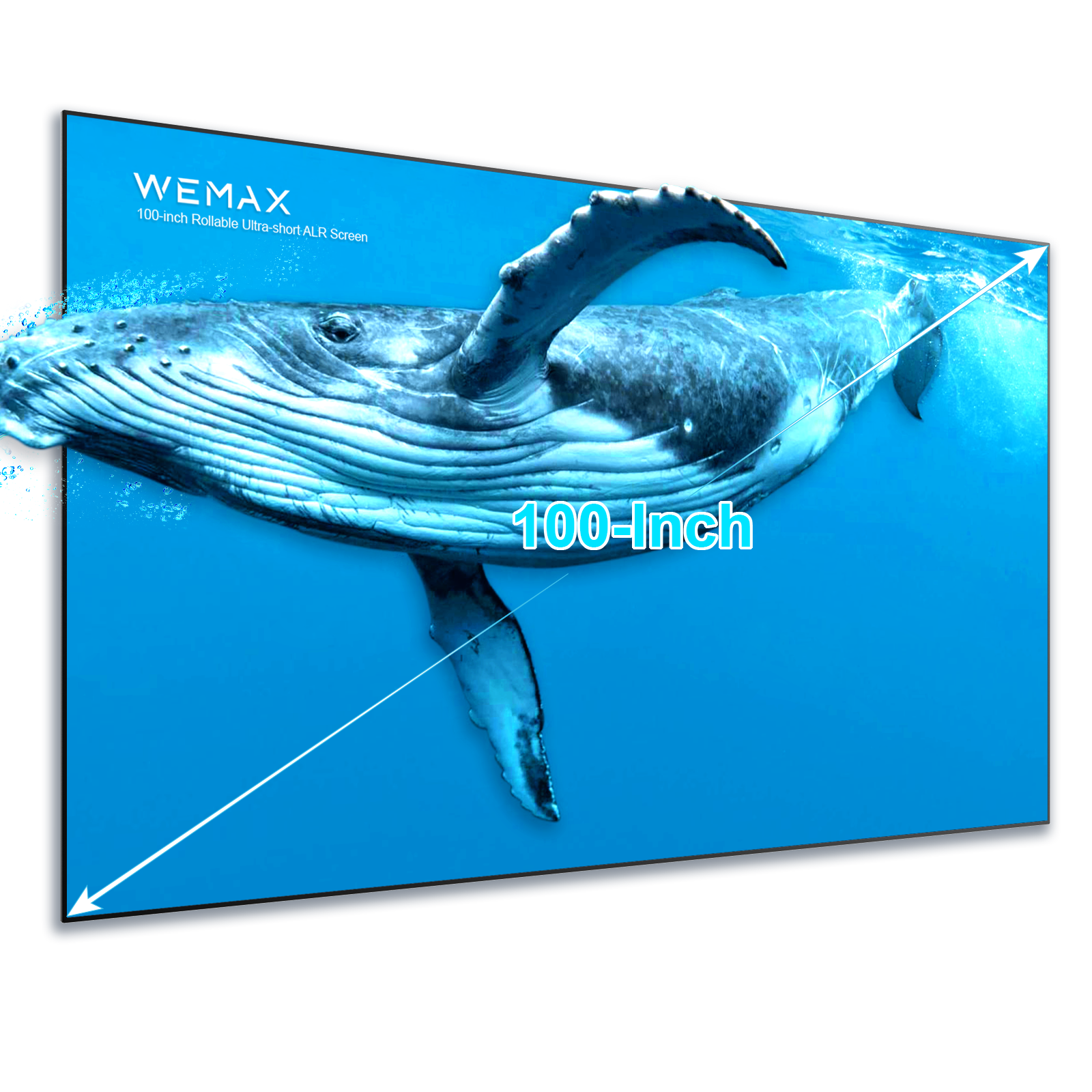 Wemax 100-inch Rollable Ultra Short Throw CLR Fixed Frame Screen